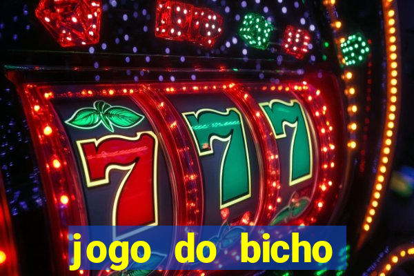 jogo do bicho ganhar dinheiro