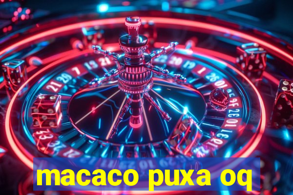 macaco puxa oq