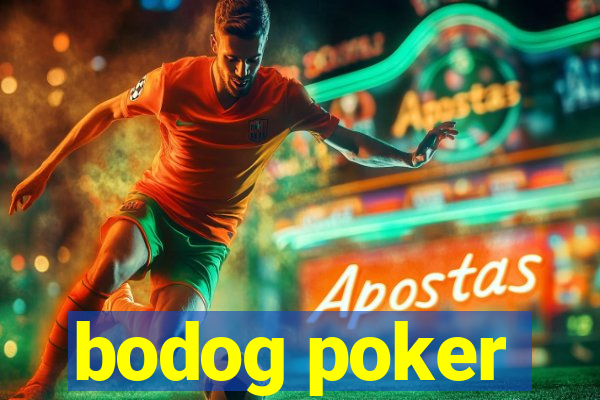 bodog poker