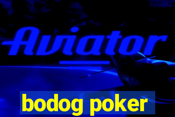 bodog poker