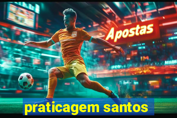 praticagem santos