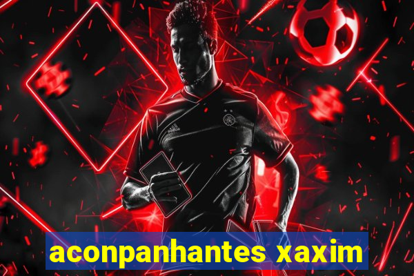 aconpanhantes xaxim