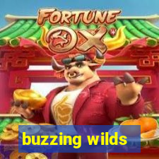 buzzing wilds