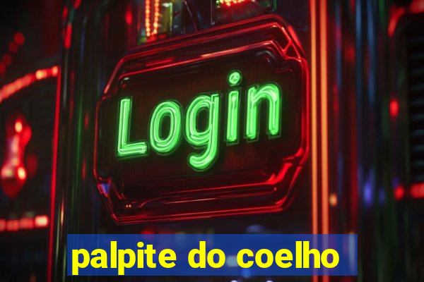 palpite do coelho