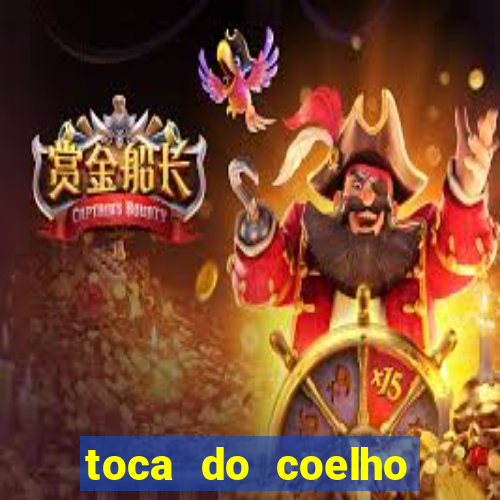 toca do coelho mogi das cruzes