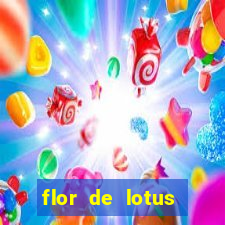 flor de lotus mitologia grega