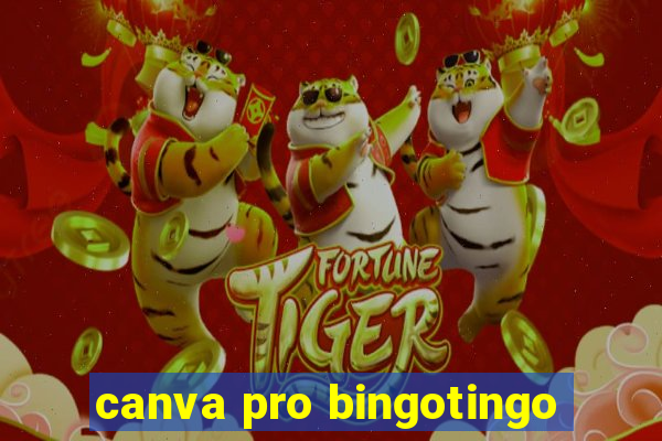 canva pro bingotingo