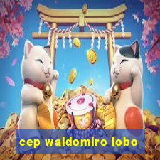 cep waldomiro lobo