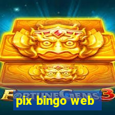 pix bingo web