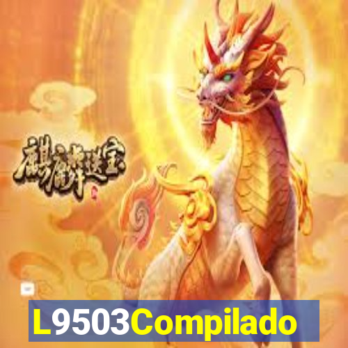 L9503Compilado