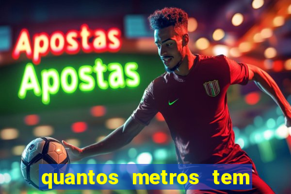 quantos metros tem o neymar