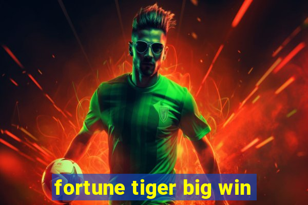 fortune tiger big win