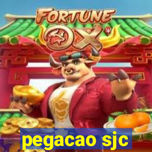 pegacao sjc