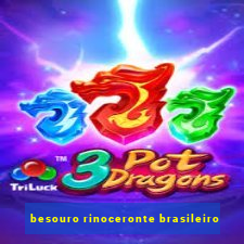 besouro rinoceronte brasileiro