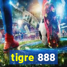 tigre 888