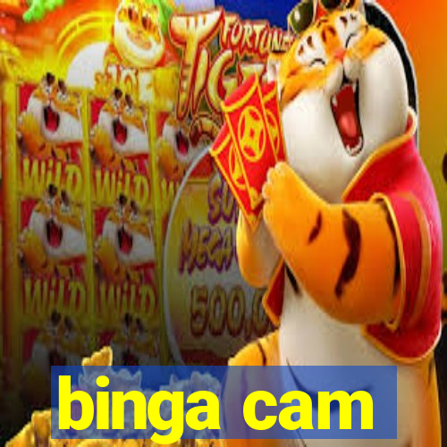 binga cam