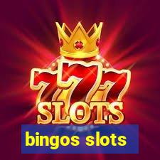 bingos slots