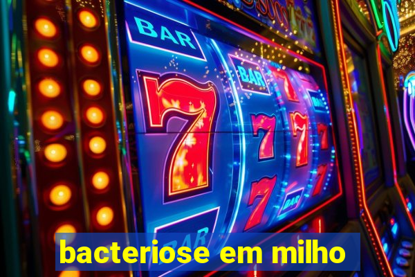 bacteriose em milho