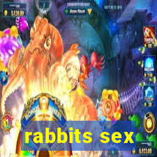 rabbits sex