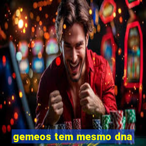 gemeos tem mesmo dna