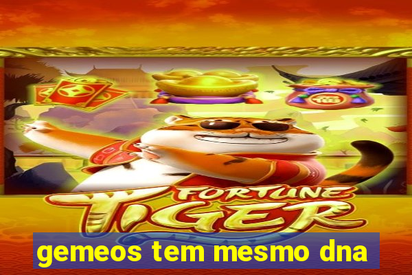 gemeos tem mesmo dna