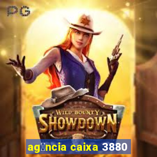 ag锚ncia caixa 3880