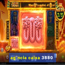 ag锚ncia caixa 3880