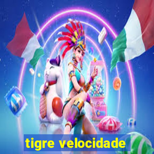 tigre velocidade