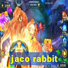 jaco rabbit