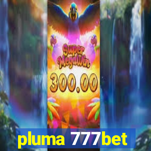 pluma 777bet