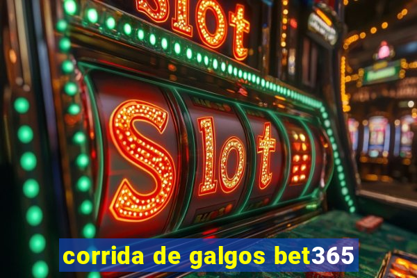 corrida de galgos bet365