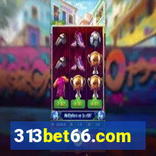 313bet66.com