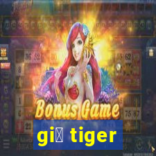 gi谩 tiger