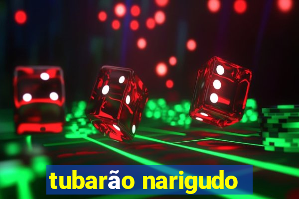 tubarão narigudo