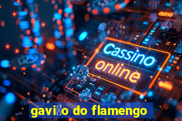 gavi茫o do flamengo