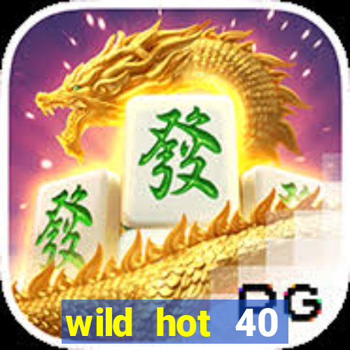 wild hot 40 christmas slot