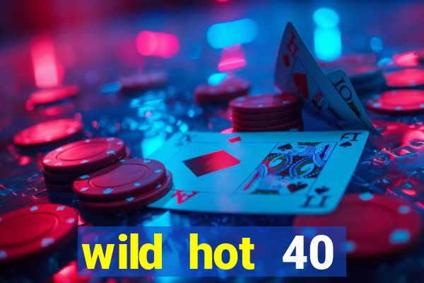 wild hot 40 christmas slot