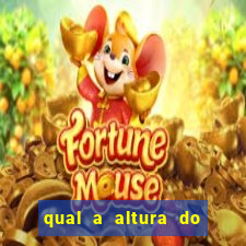 qual a altura do silvio santos