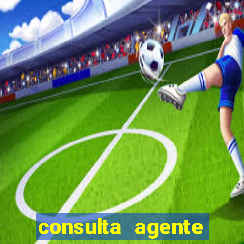 consulta agente autuador sp