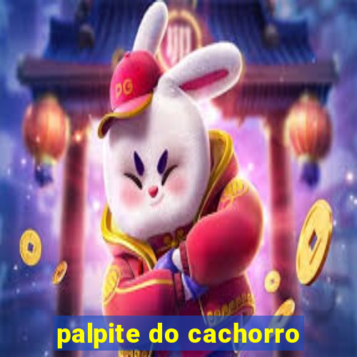 palpite do cachorro