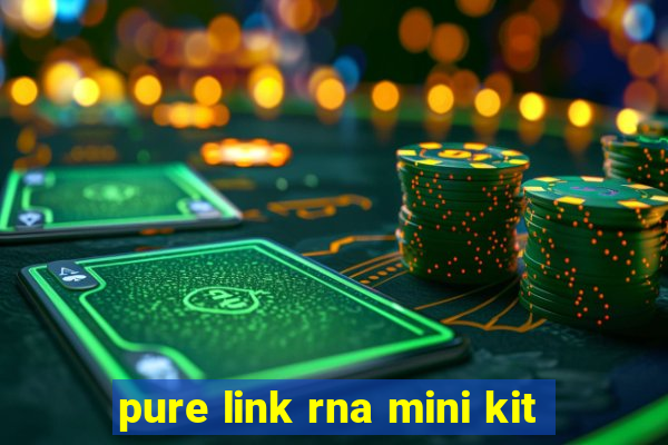 pure link rna mini kit