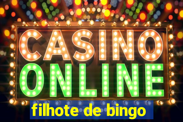 filhote de bingo