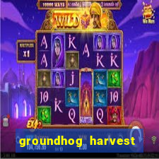 groundhog harvest pg slot