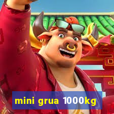 mini grua 1000kg