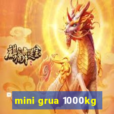 mini grua 1000kg