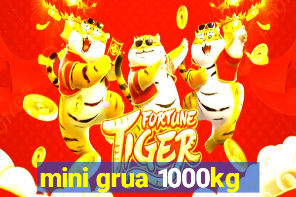 mini grua 1000kg