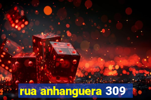 rua anhanguera 309