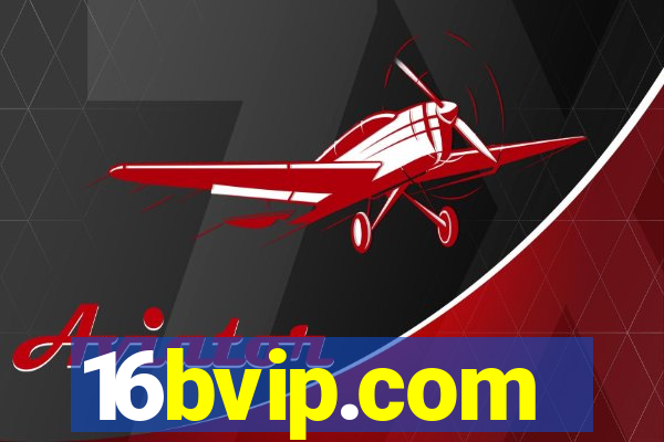 16bvip.com