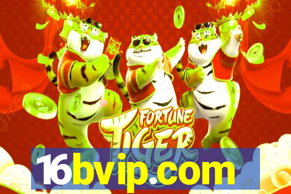 16bvip.com