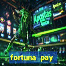 fortuna pay consultoria financeira ltda